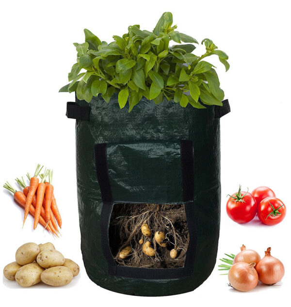 PE cloth garden planting bag - Image 5